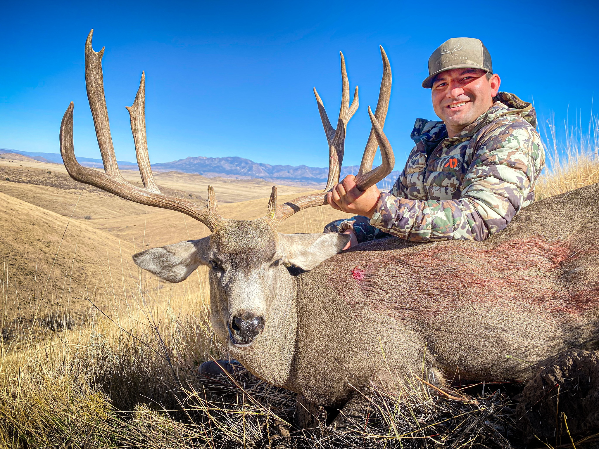 mule-deer-perennial-outfitting